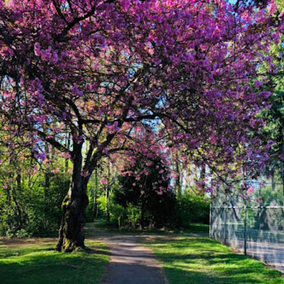 Meet your Posher, Caitlin - Picture 1 of 1